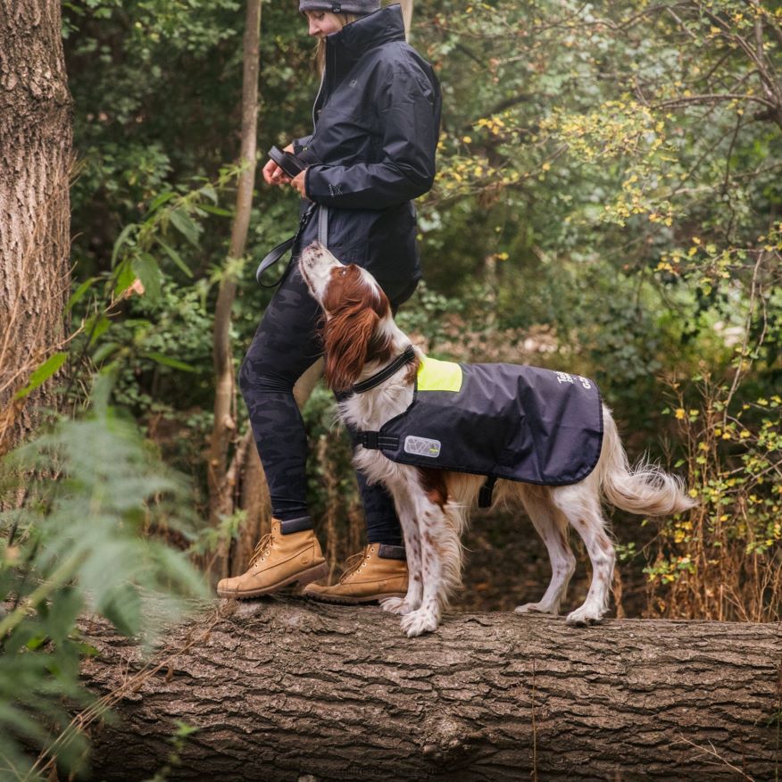 Gill Marine manteau pour chien tails.com x gill DDP04L23 graphite